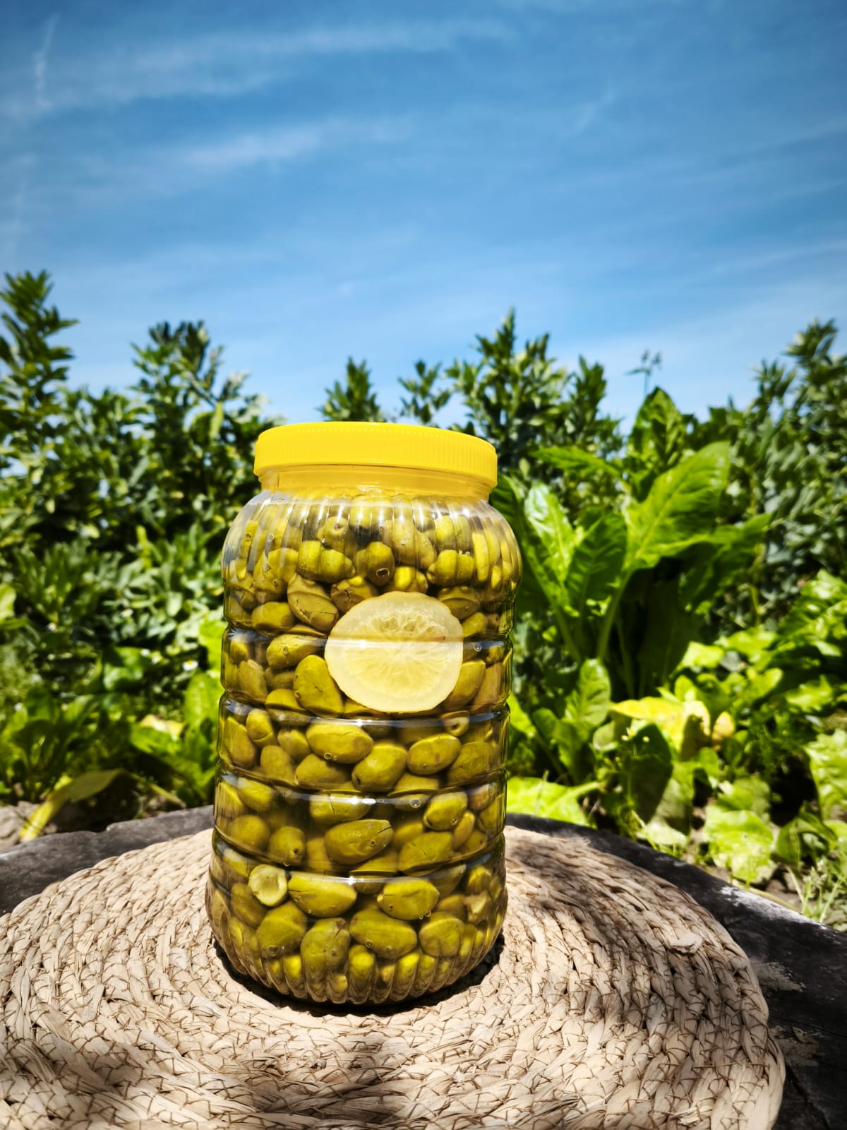 Çekişte Kırma Yeşil Zeytin 3 kg. Pet