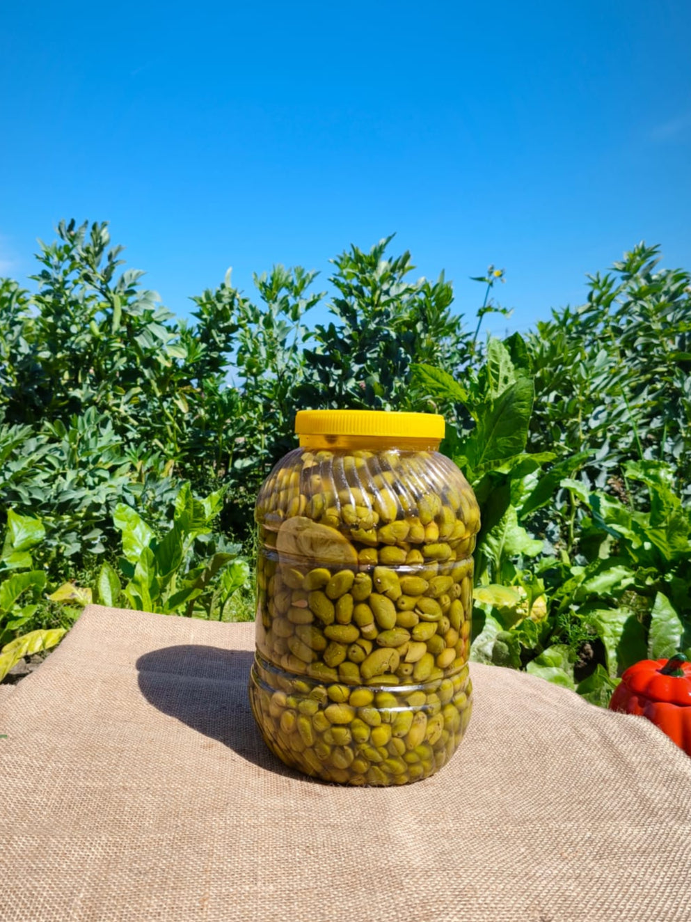 Çekişte Kırma Yeşil Zeytin 5 kg. Pet