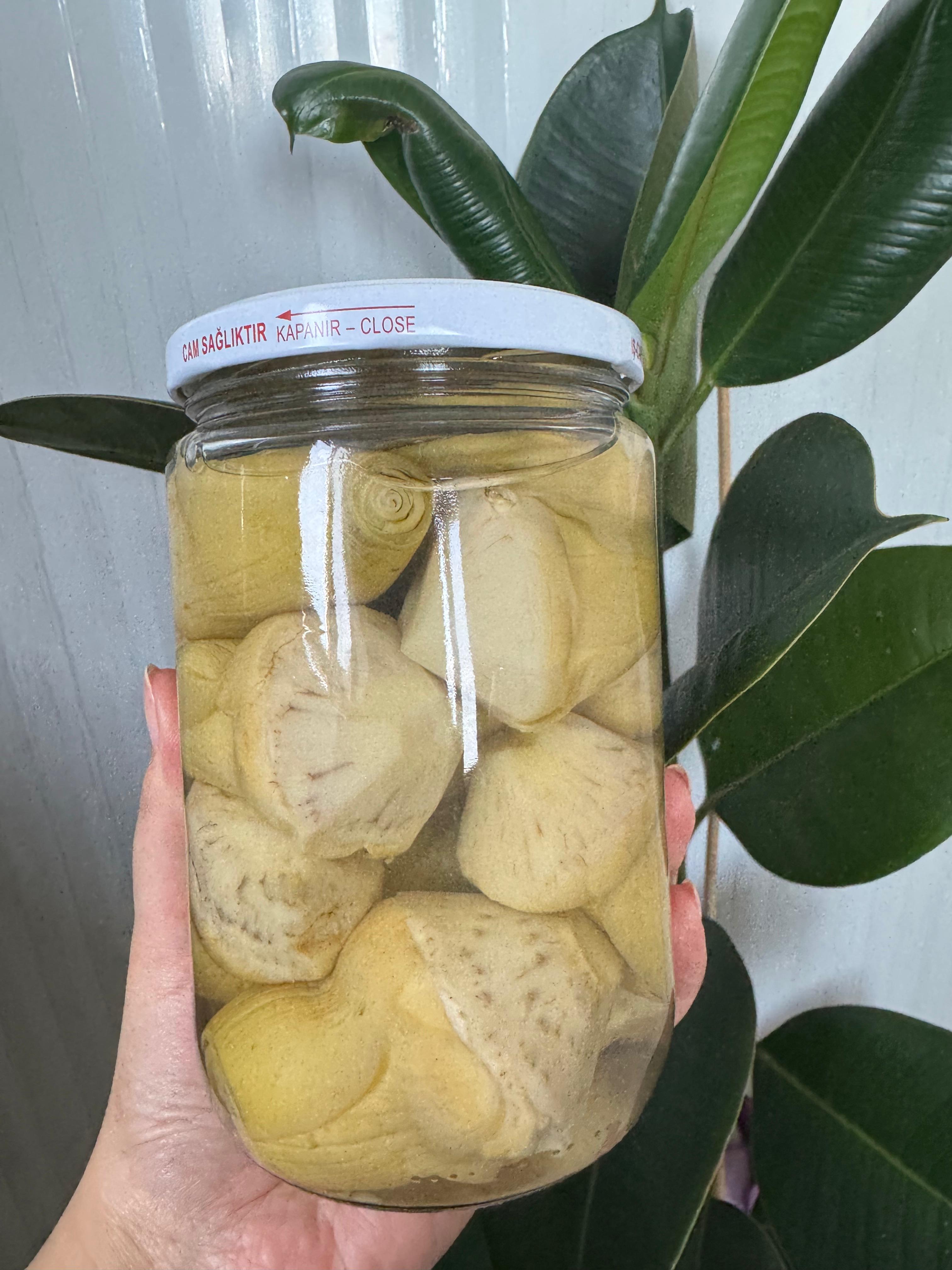 Konserve Kalp Enginar