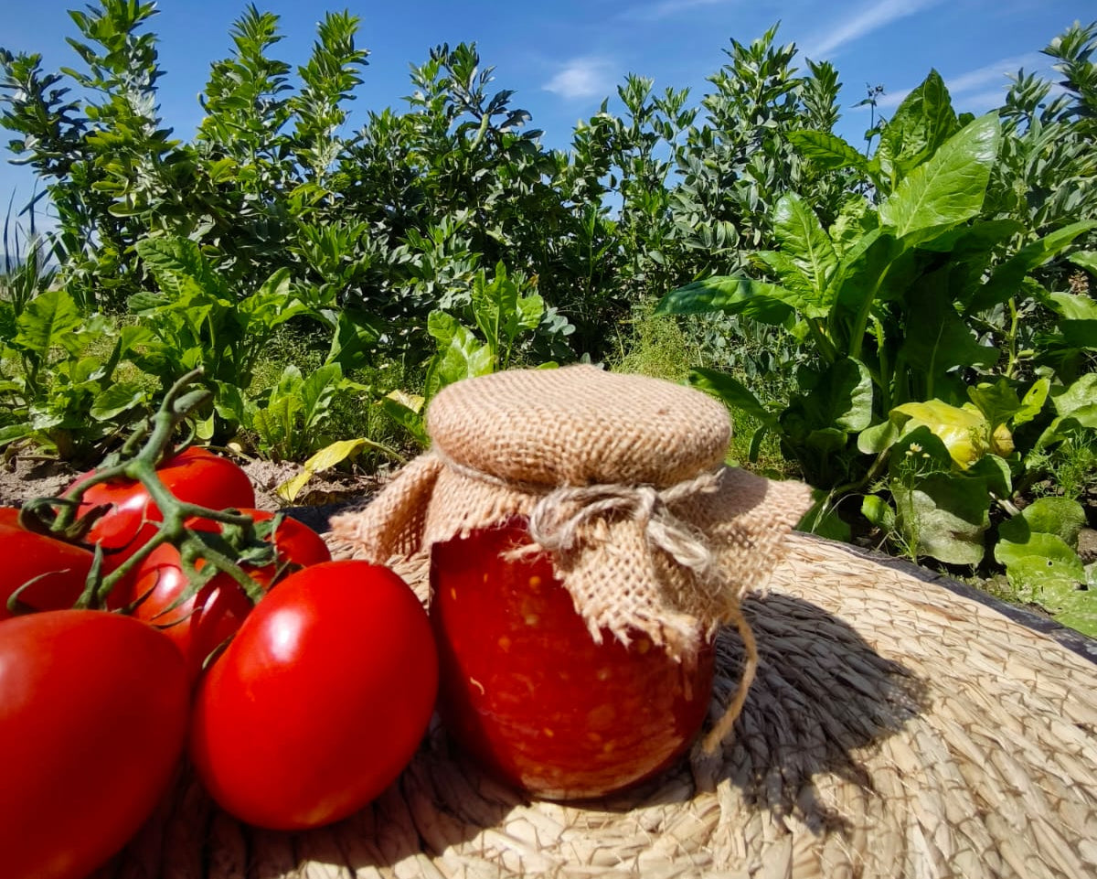 Domates Konservesi 425 cc.