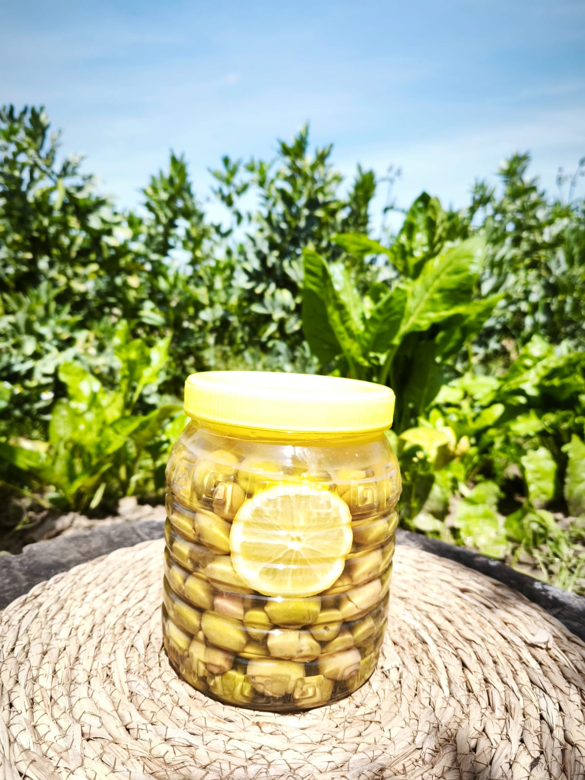 Gülümbe Kırma Yeşil Zeytin 1.5 kg Pet