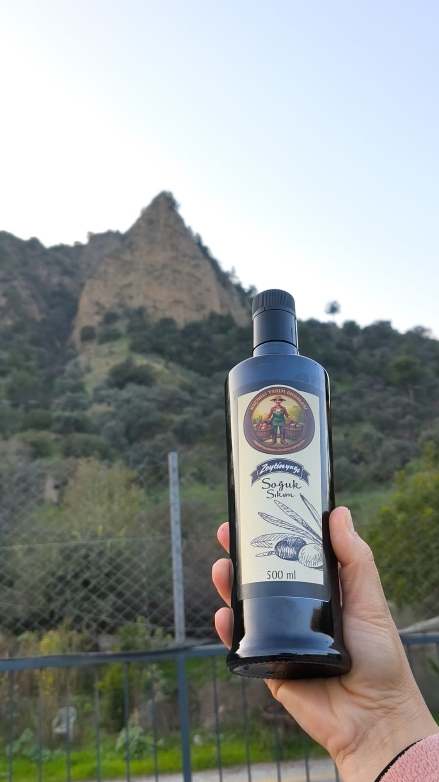 Erken Hasat Soğuk Sıkım Zeytinyağı(Filtresiz) 500 ml (Yeni Sezon)