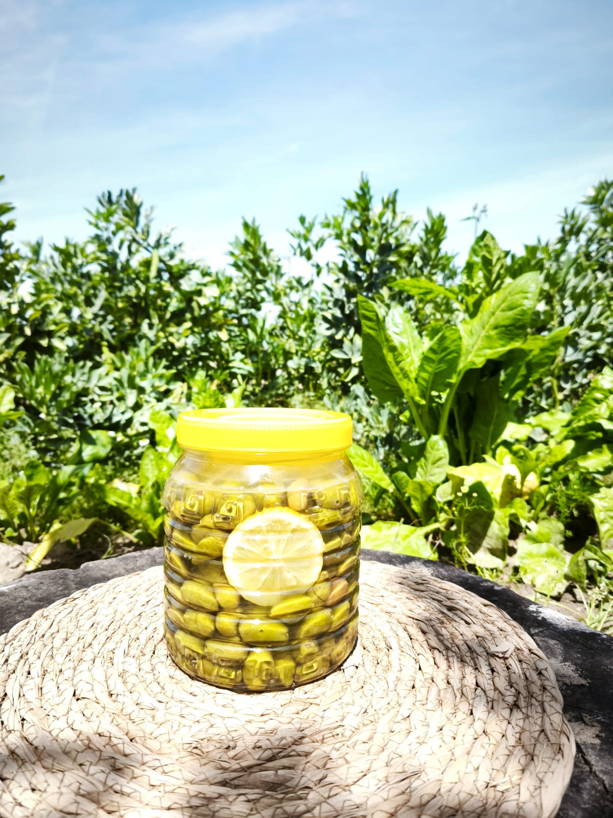 Çekişte Kırma Yeşil Zeytin 1.5 kg Pet