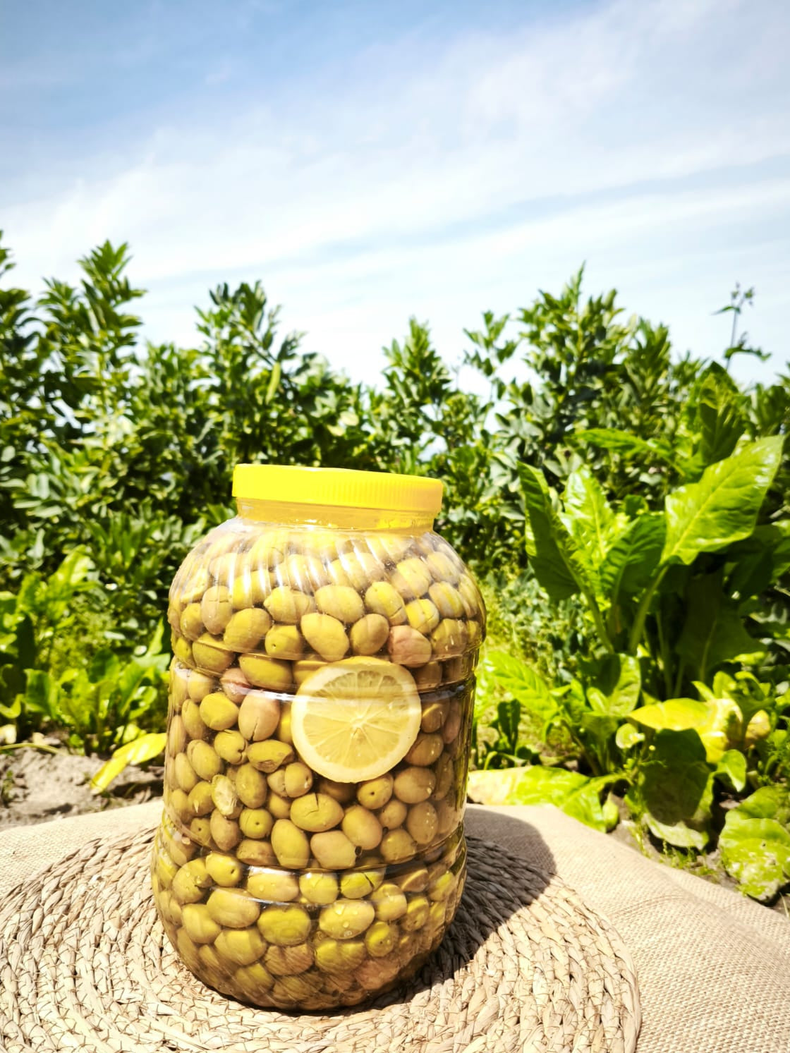 Gülümbe Kırma Yeşil Zeytin 3.25 kg