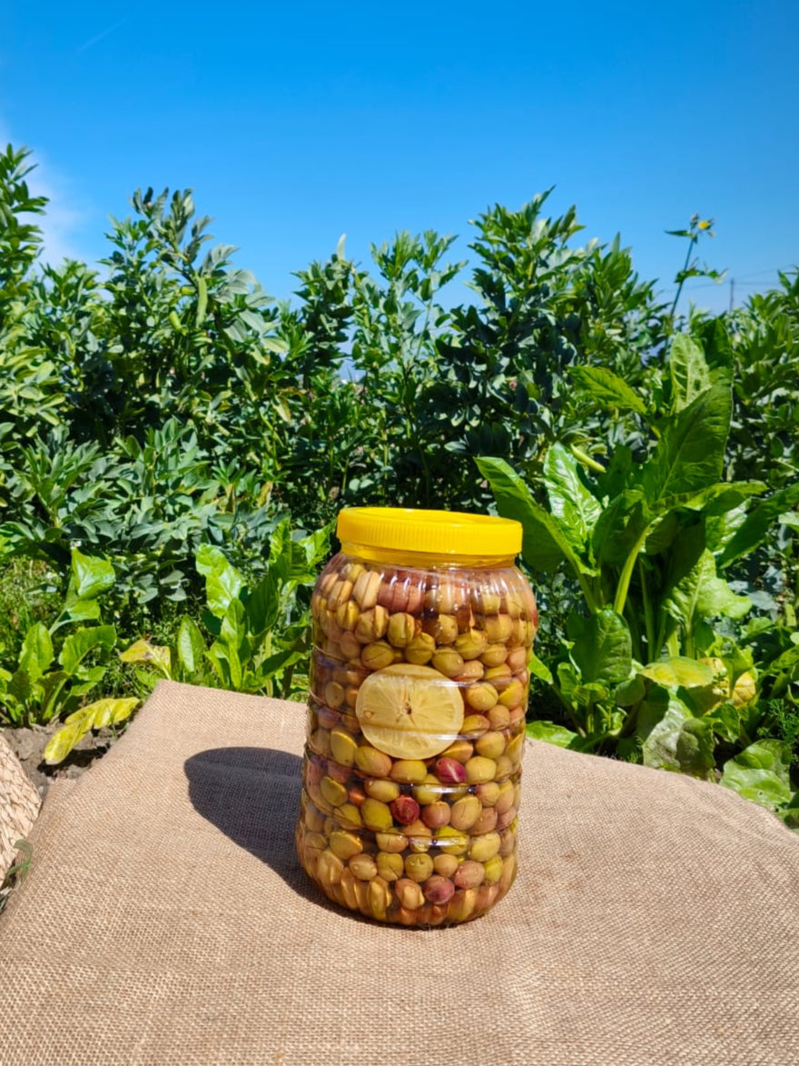 Gülümbe Çizik Yeşil Zeytin 3 kg. Pet