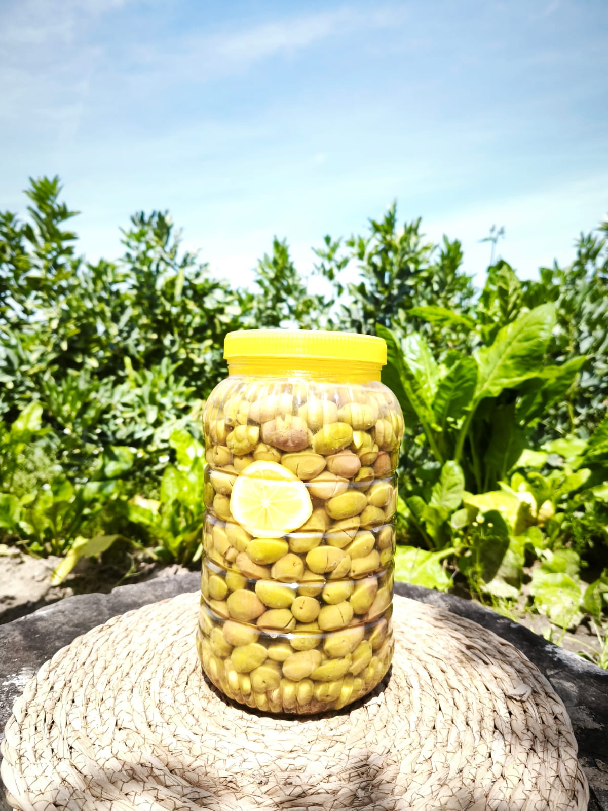 Gülümbe Kırma Yeşil Zeytin 3 kg. Pet