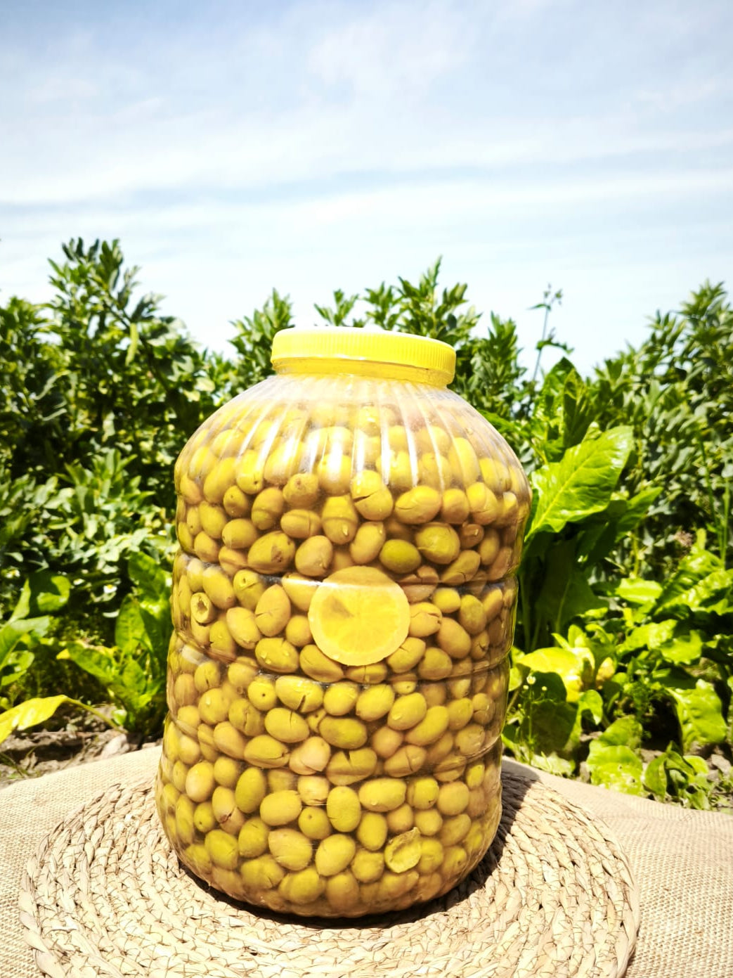 Gülümbe Kırma Yeşil Zeytin 10 kg. Pet