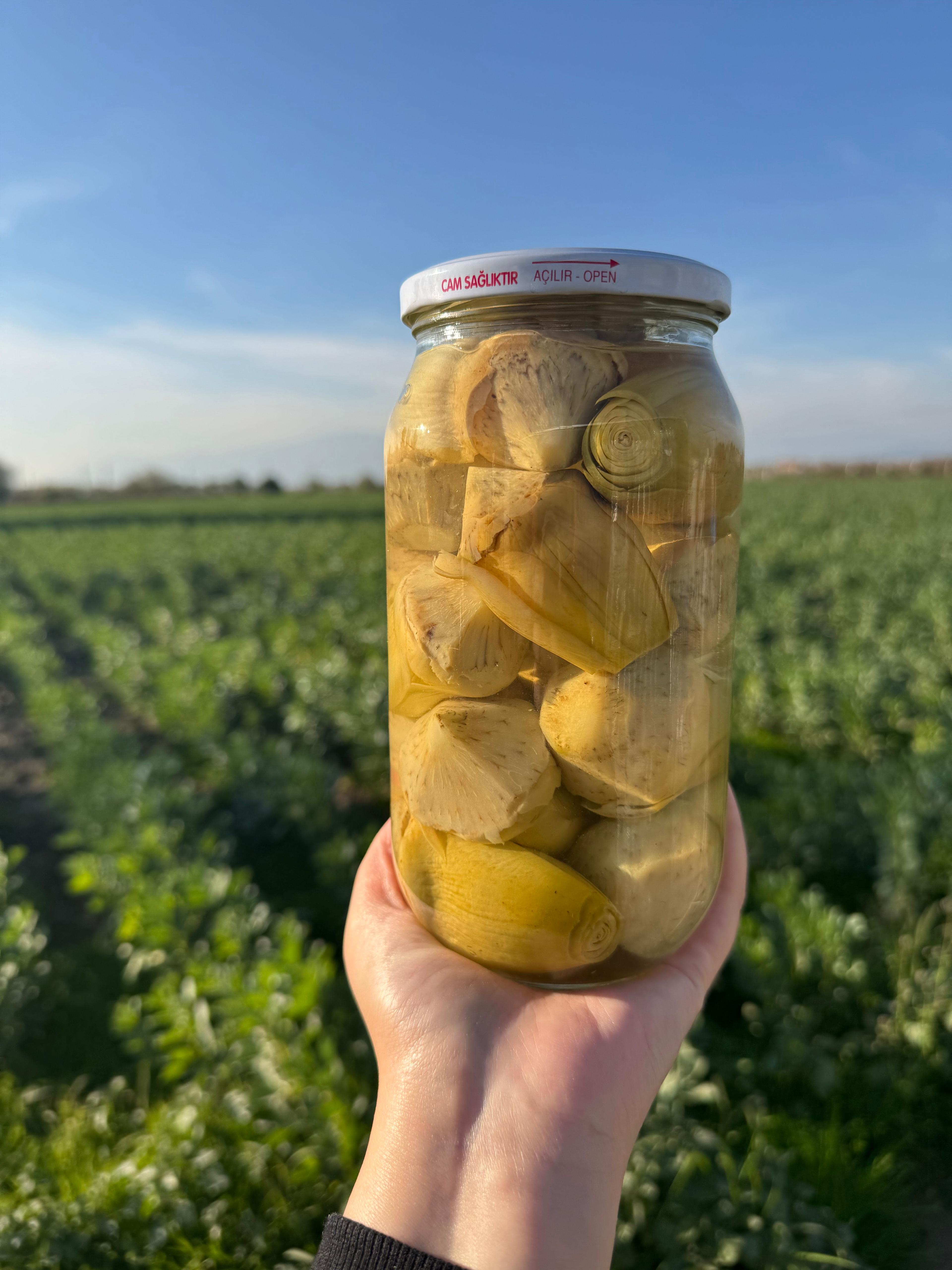 Konserve Kalp Enginar