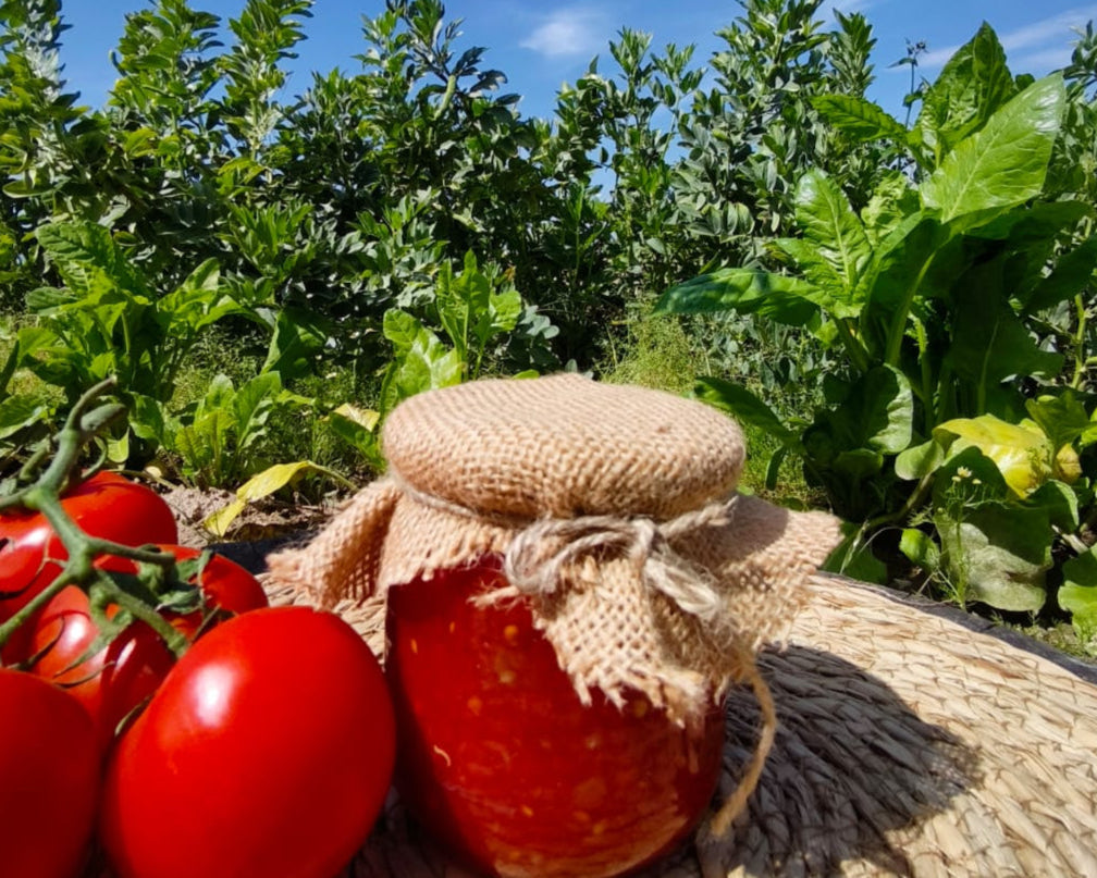 Menemenlik Domates(Biberli) 425 cc.