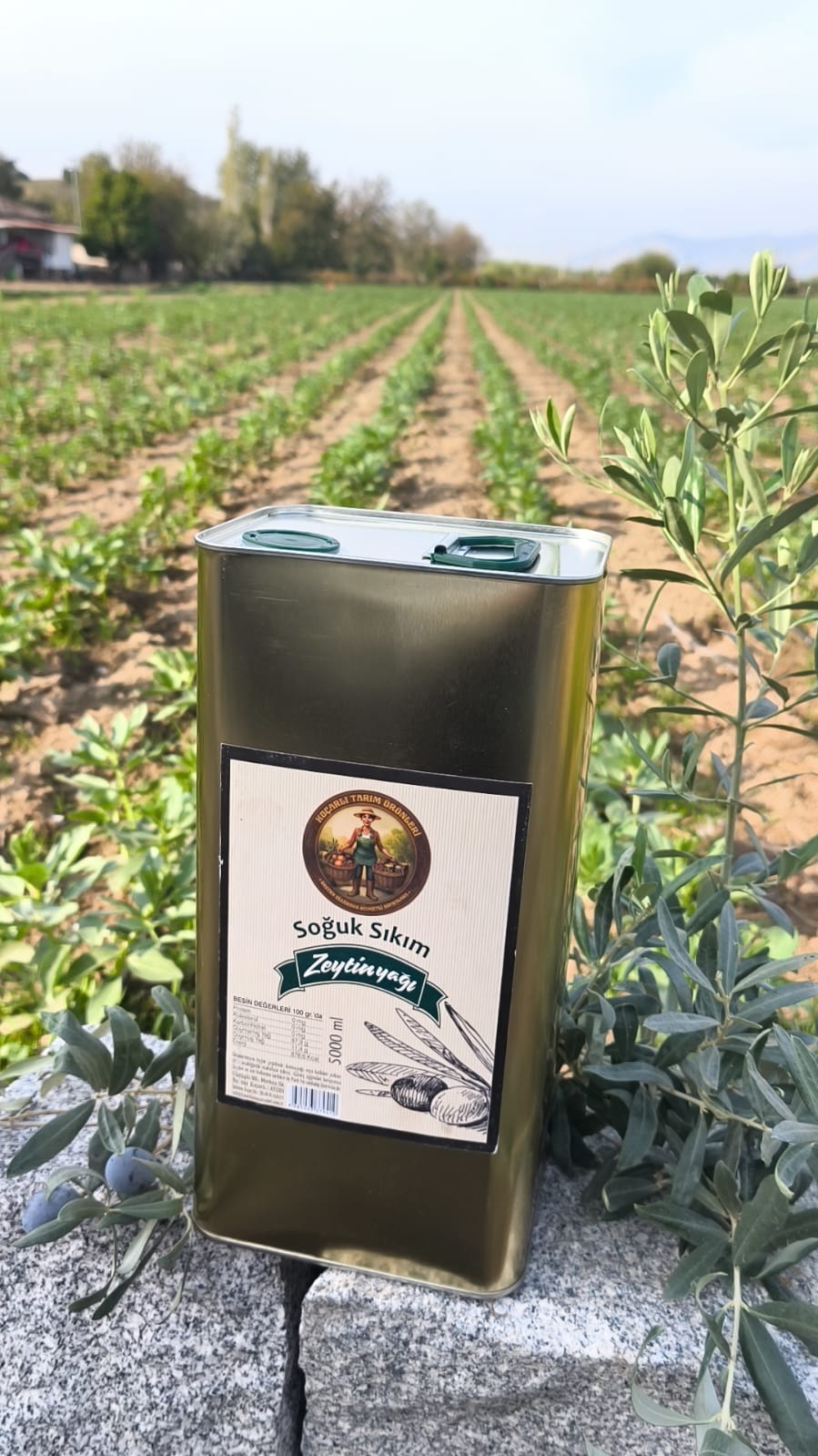 Erken Hasat Soğuk Sıkım Zeytinyağı(Filtresiz) 5000 ml