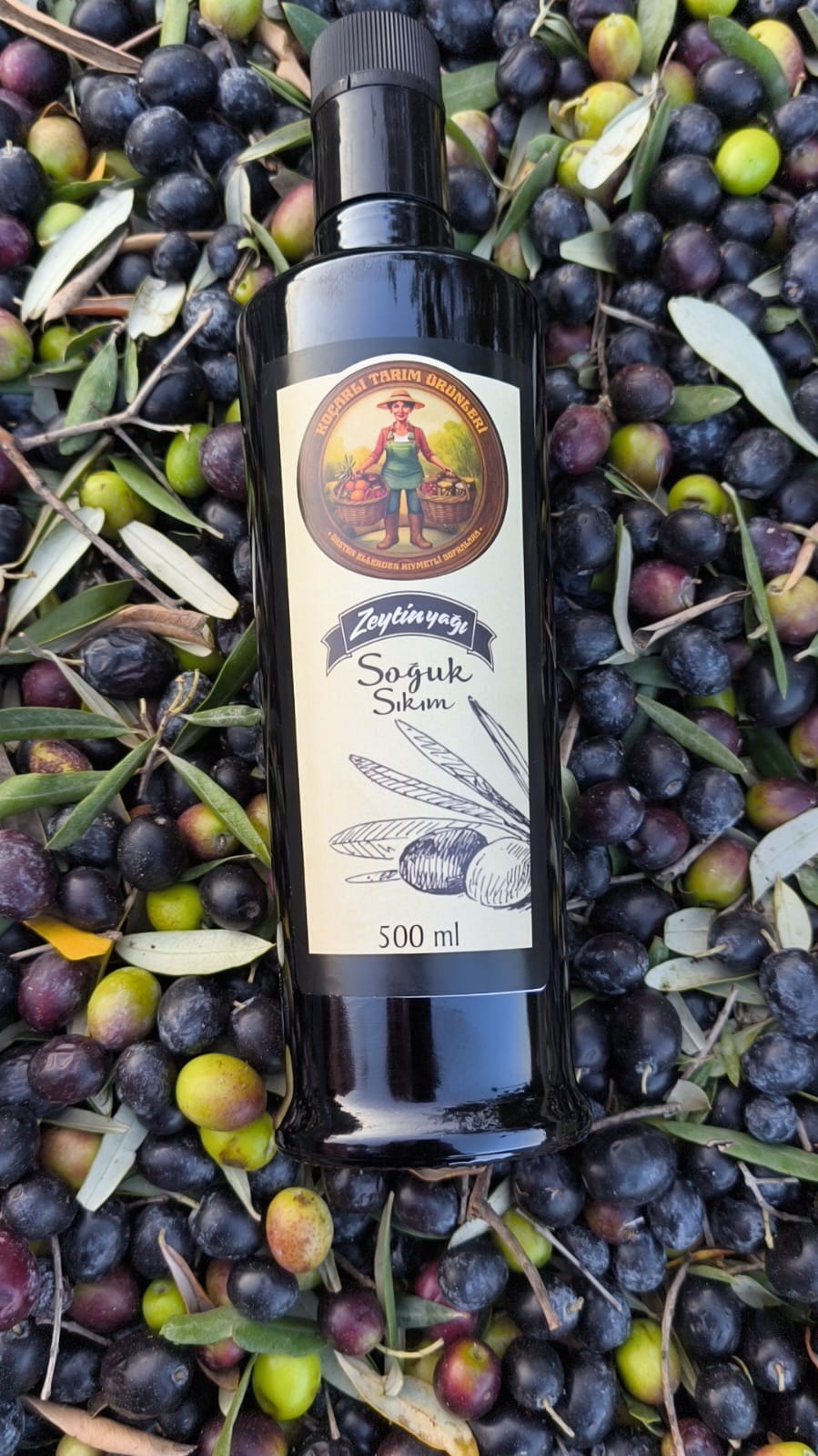 Erken Hasat Soğuk Sıkım Zeytinyağı(Filtresiz) 500 ml (Yeni Sezon)