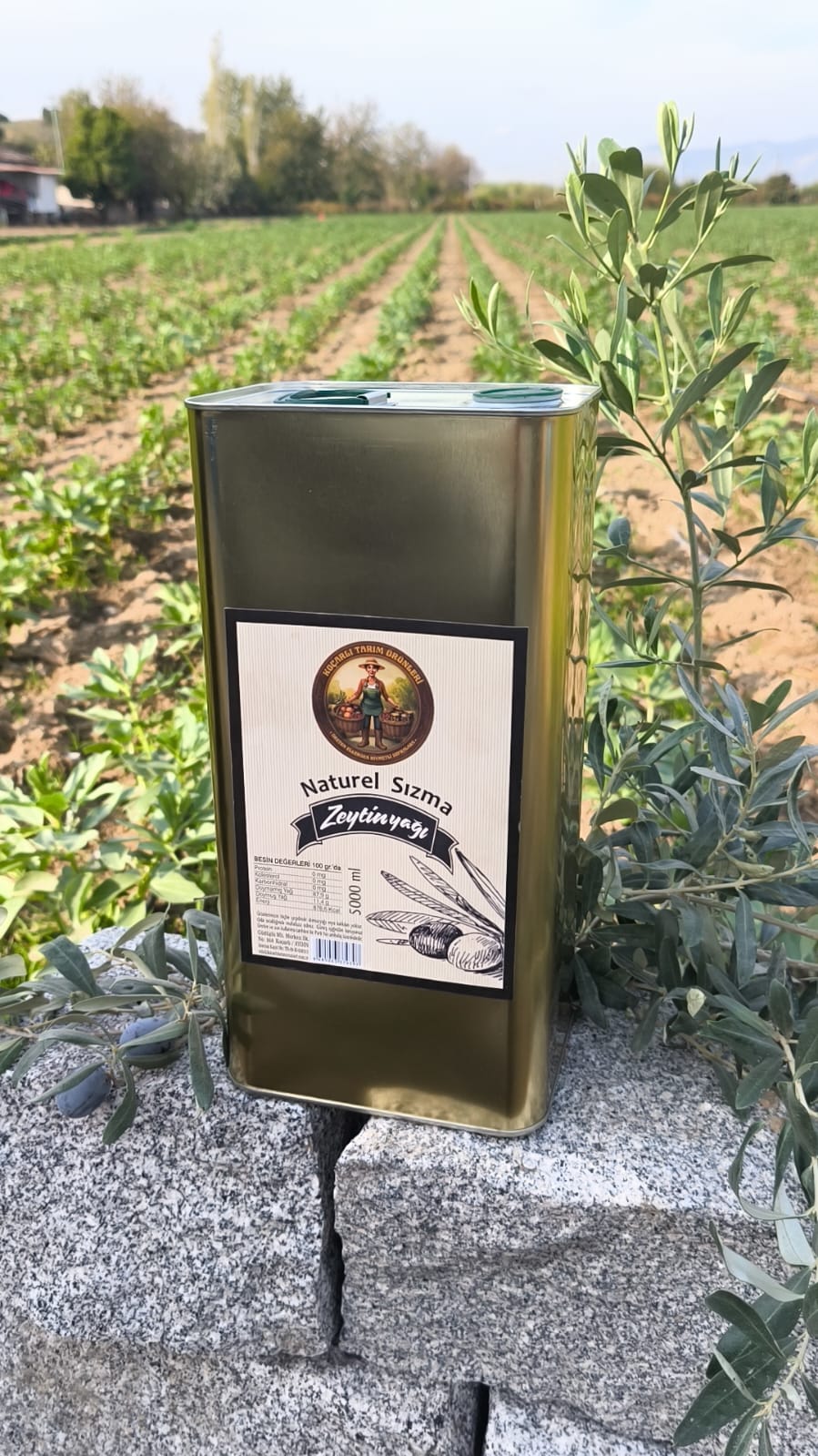 Olgun Hasat Naturel Sızma Zeytinyağı (Filtresiz) 5000 ml (Yeni Sezon)