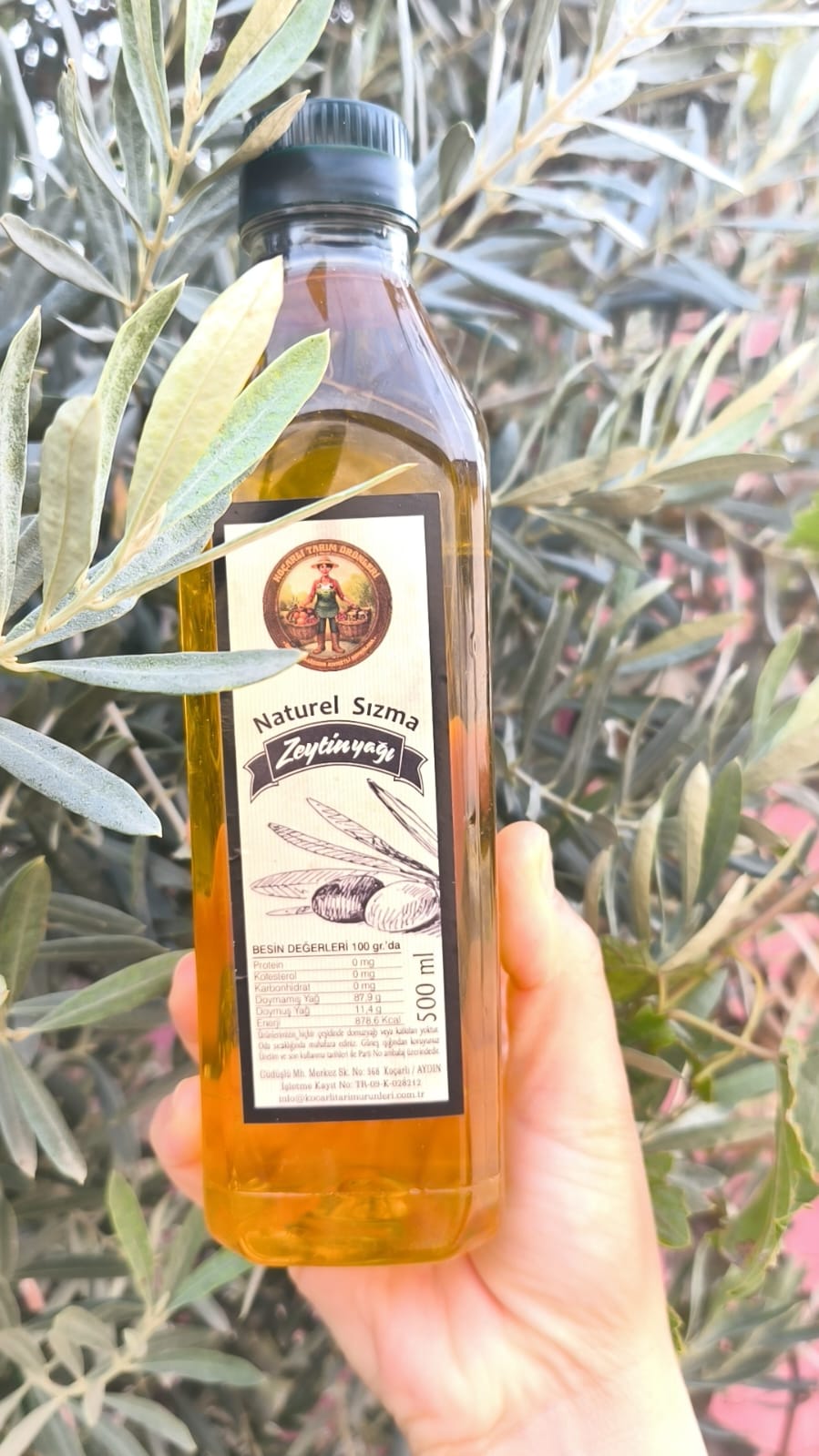 Olgun Hasat Naturel Sızma Zeytinyağı (Filtresiz) 500 ml (Yeni Sezon)