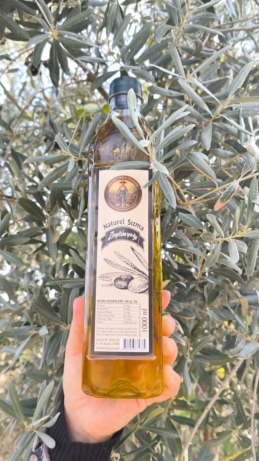 Olgun Hasat Naturel Sızma Zeytinyağı (Filtresiz) 1000 ml (Yeni Sezon)