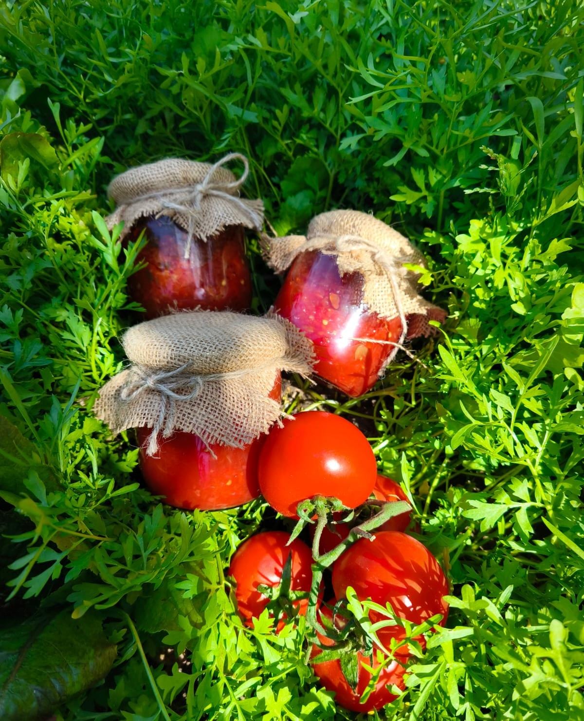 Domates Sos (3'lü) Grubu