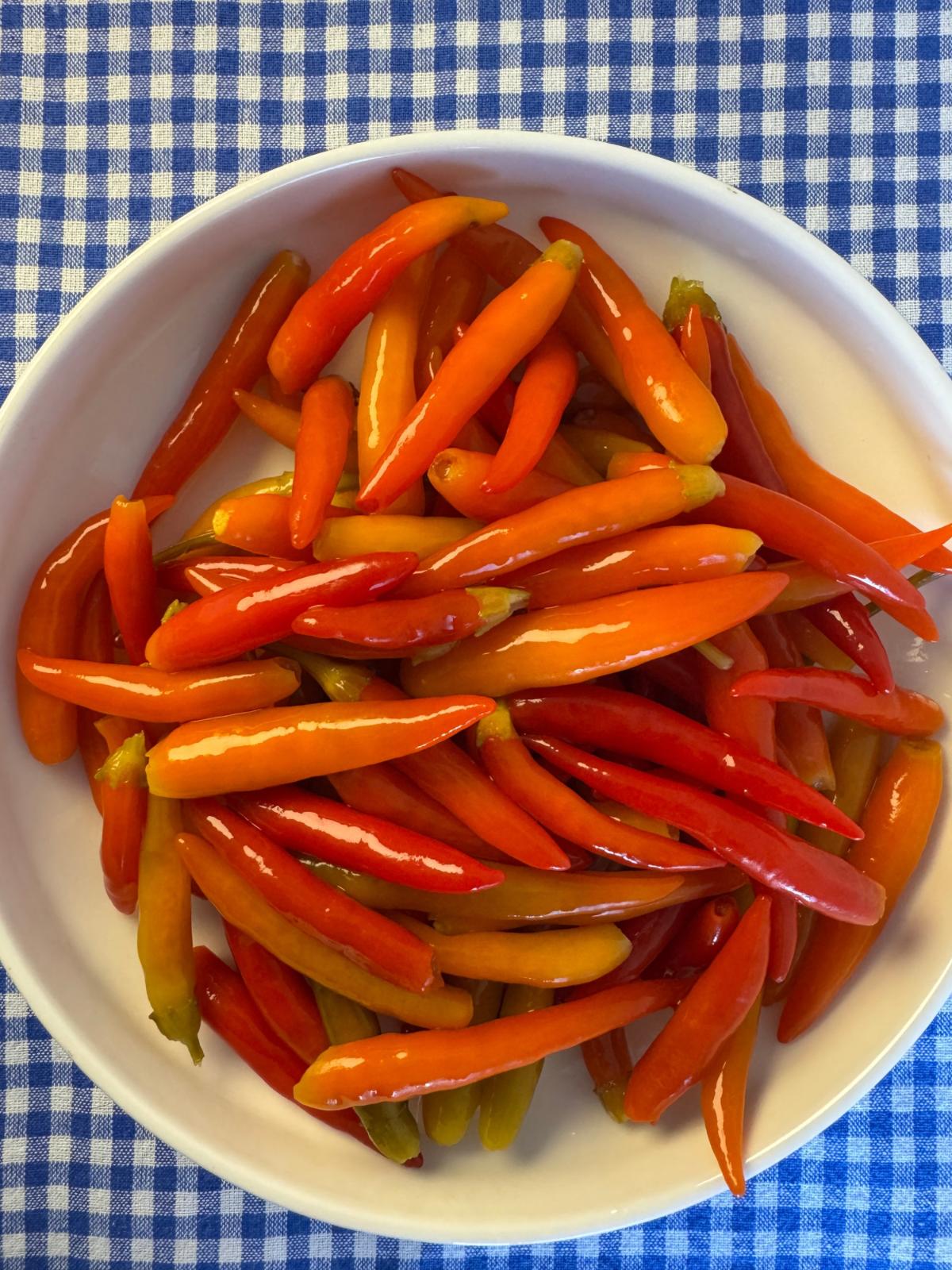 Acı (Yakan) Biber (Kırmızı-Yeni Sezon)