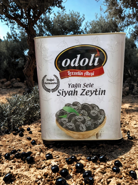 Siyah Sele Zeytin 10 kg. Teneke (İri Boy)